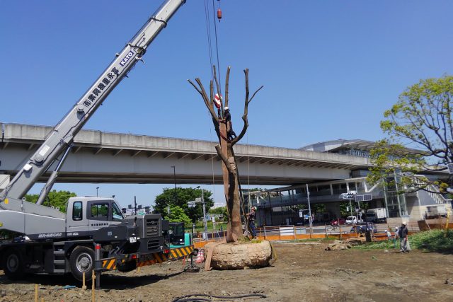 緑化（庭園）工事・管理業務